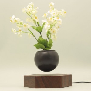 Schwimmender schwebender Bonsai-Blumenkübel PA-0720 aus Holz