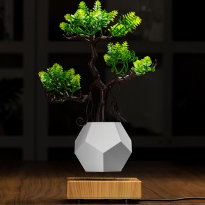 neue Holzbasis Magnetschwebeboden Flyte Luft Bonsai Topf Pflanzer